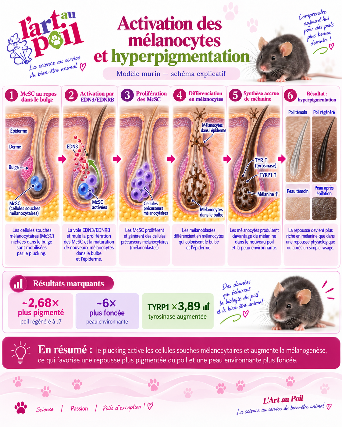 &eacute;pilation stripping plucking