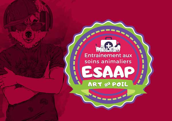 ESAAP: Une certification pour éducateurs canins 