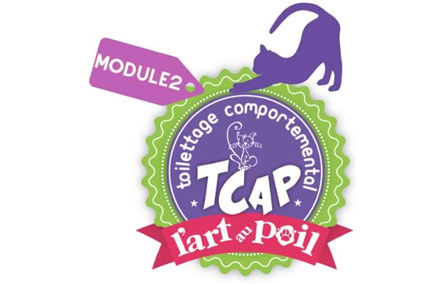 Toilettage Comportemental TCAP Module 2 - Pratique - FÉLINS