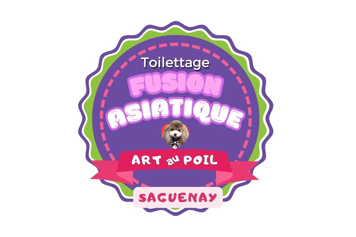 Perfectionnement toilettage aux ciseaux Fusion Asiatique Chicoutimi