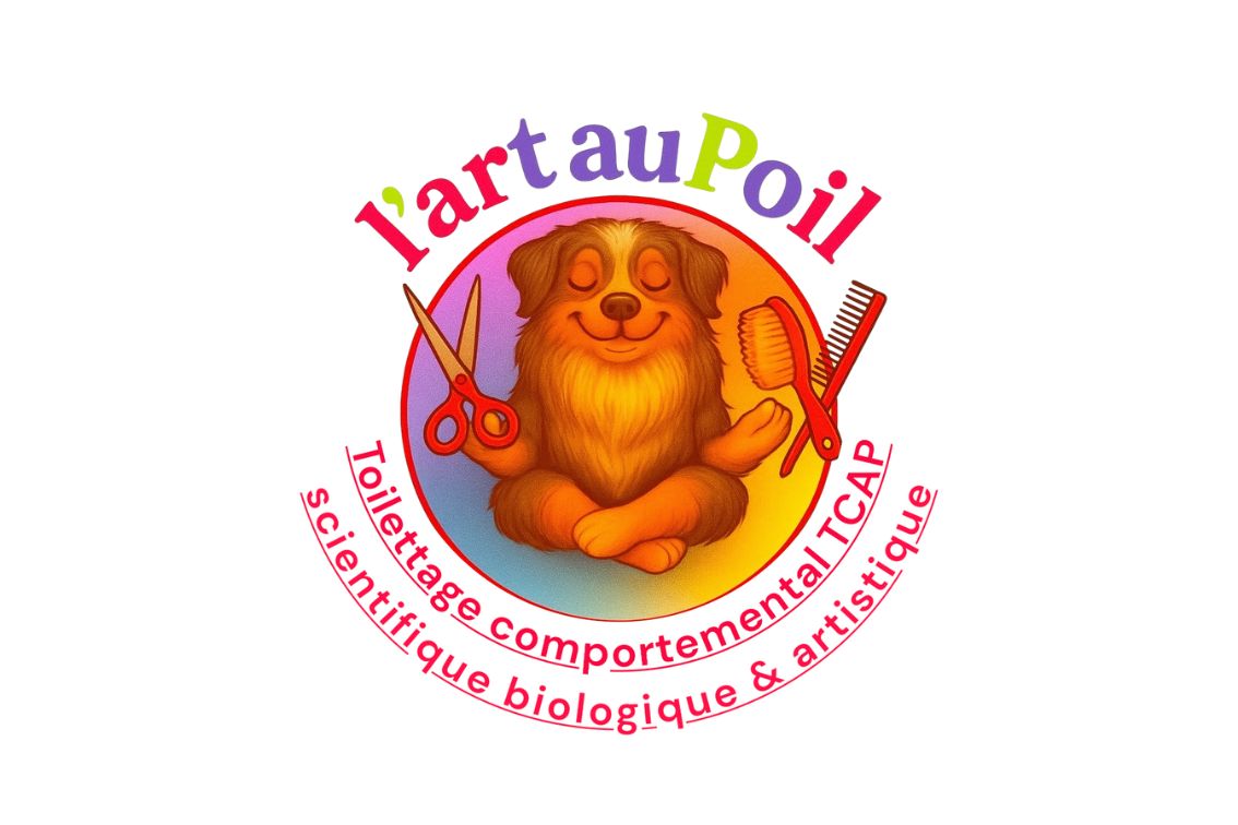BLOC 1 de 7: Formation en Toilettage 🐾 : Comportemental 🧠, Science ❤️ et Techniques Artistiques ✂️ 