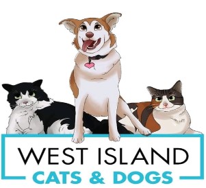 West Island Cats