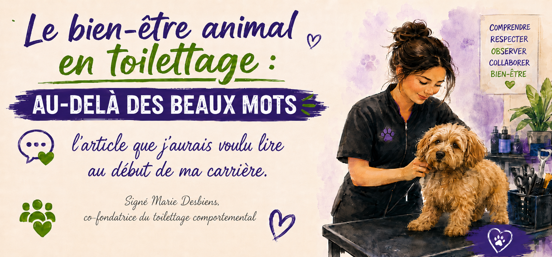 Le bien-être animal en toilettage : au-delà des beaux mots
